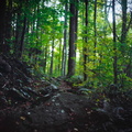 Sutton Ridge Overlook